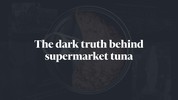 The dark truth behind supermarket tuna